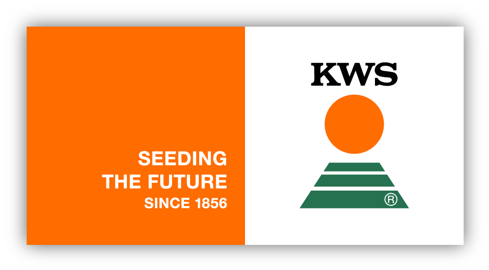 KWs Logo